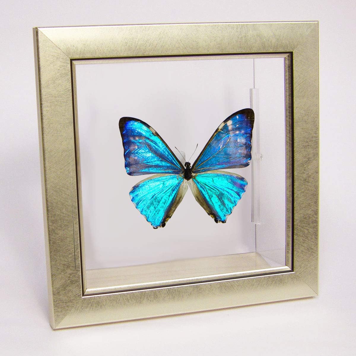 河合塾 テキスト 大西正浩 化学T 医学部 Tテキ 駿台 代ゼミ 鉄緑会 医